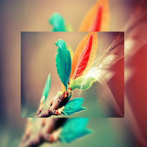 中国大陆普通话操逼视频看看呗!
